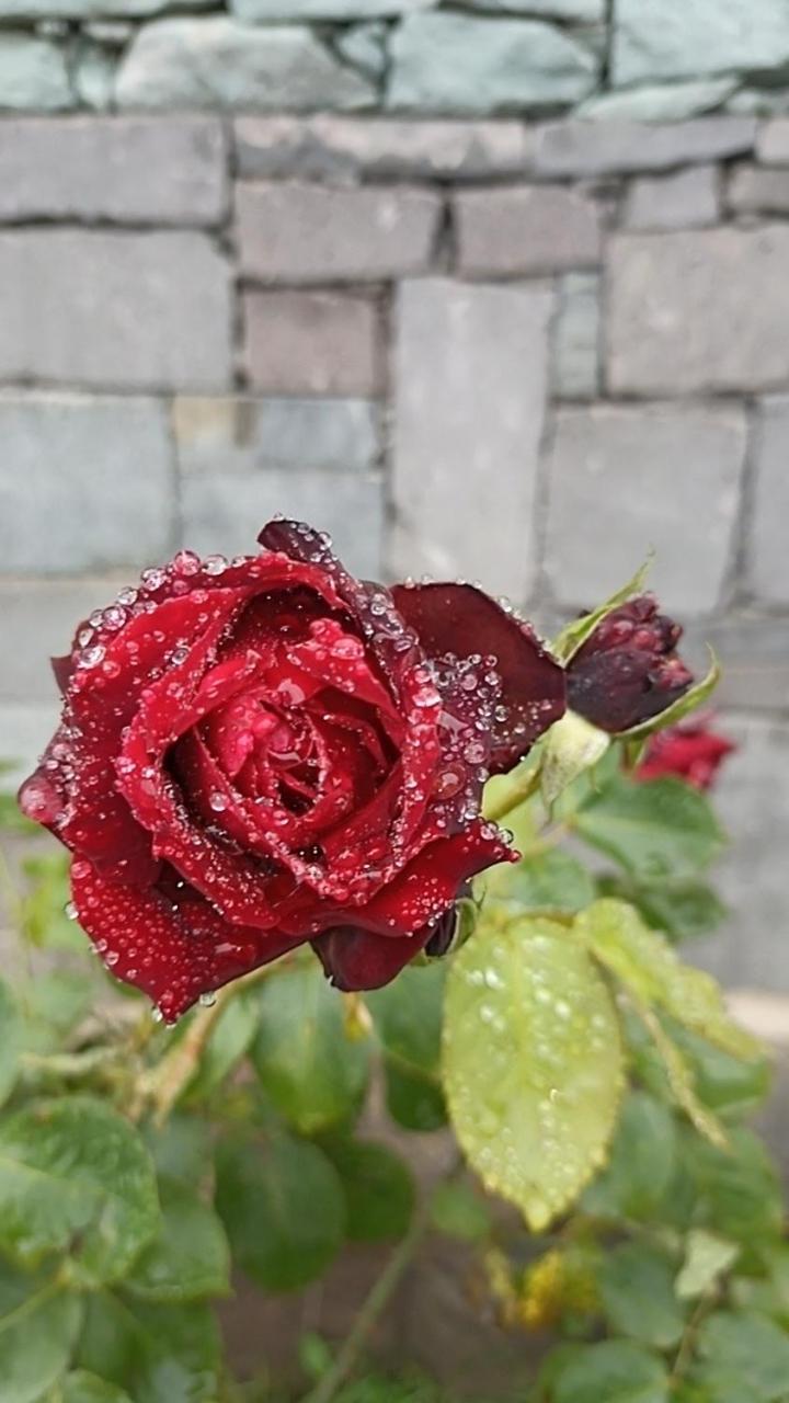 Luse Guest House ไอจ์เวิน ภายนอก รูปภาพ