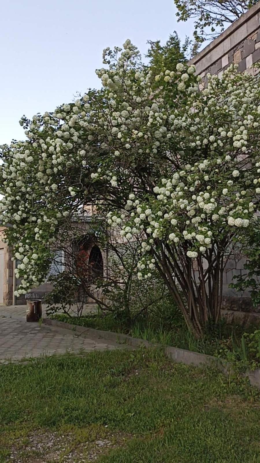 Luse Guest House ไอจ์เวิน ภายนอก รูปภาพ