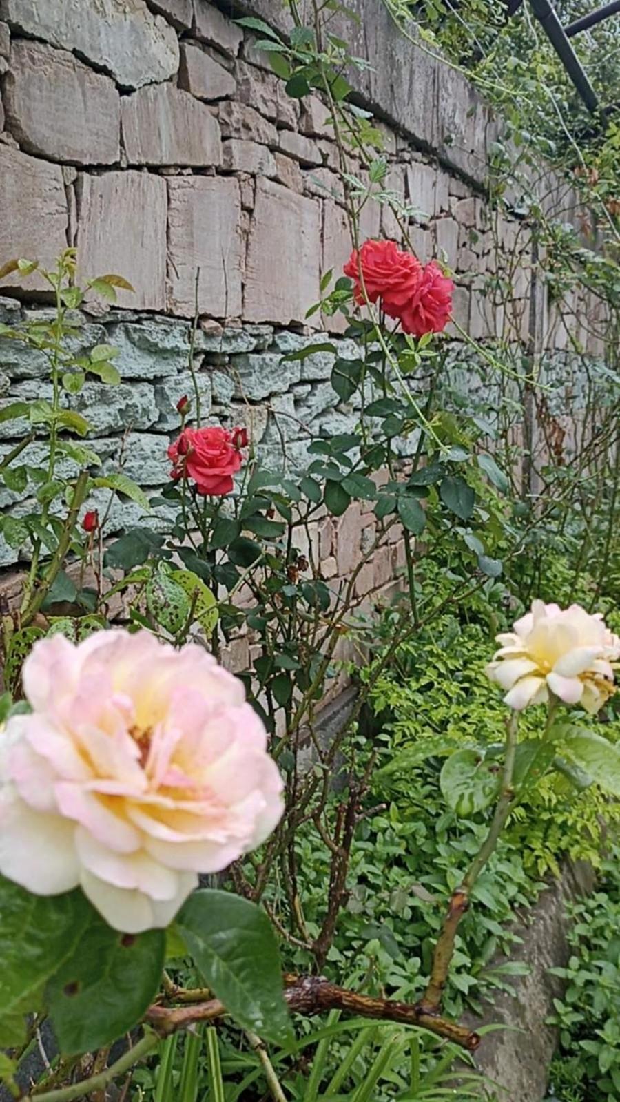 Luse Guest House ไอจ์เวิน ภายนอก รูปภาพ